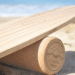 Coastal Tribe surf balance board "The Shredder", close-up image of the beautifully crafted timber board resting on the cork roller on a sandy beach with the ocean in the background